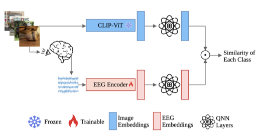 Quantum multimodal contrastive learning