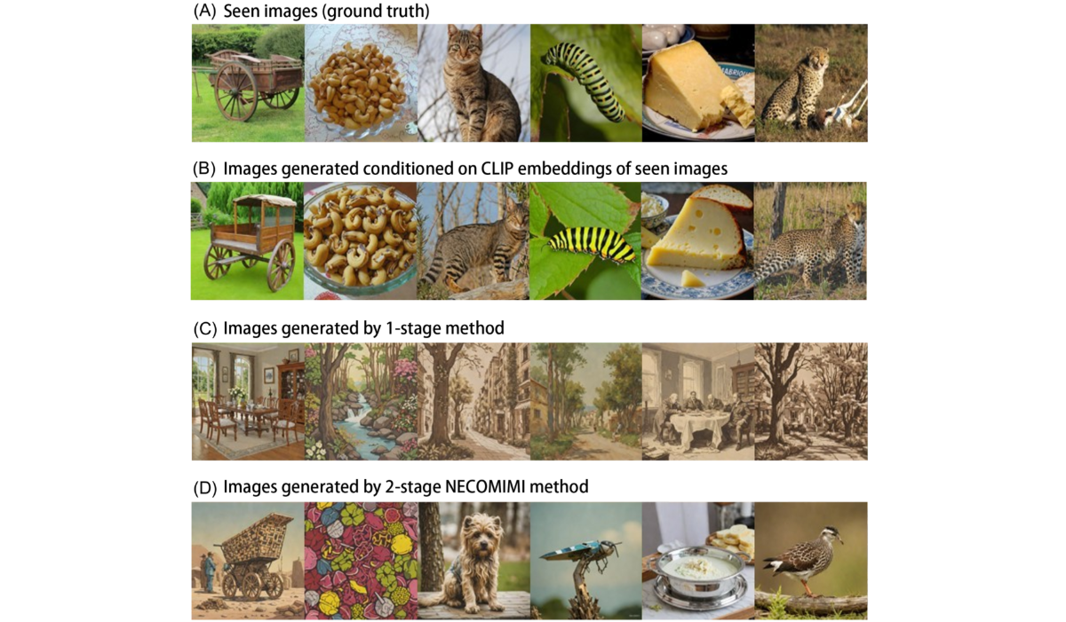 Necomimi EEG-to-image generation with diffusion models